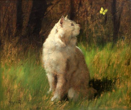 Artur Heyer (1872-1931) White cat watching a butterfly 21 x 25.5in.